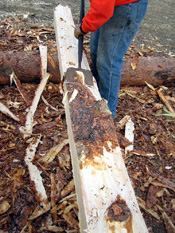 Log Driveway Arch