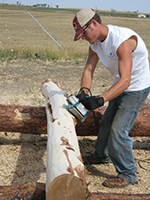 Peeled House Logs