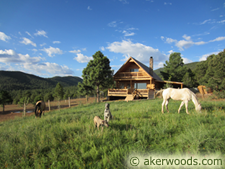 Aker Woods Company: Picture of a Cabin with AkerWoods Siding from Customer: Richard Hall